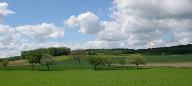 Fiche REX : Conversion bio d’une exploitation en polyculture-élevage Fiche REX : Conversion bio d’une exploitation en polyculture-élevage