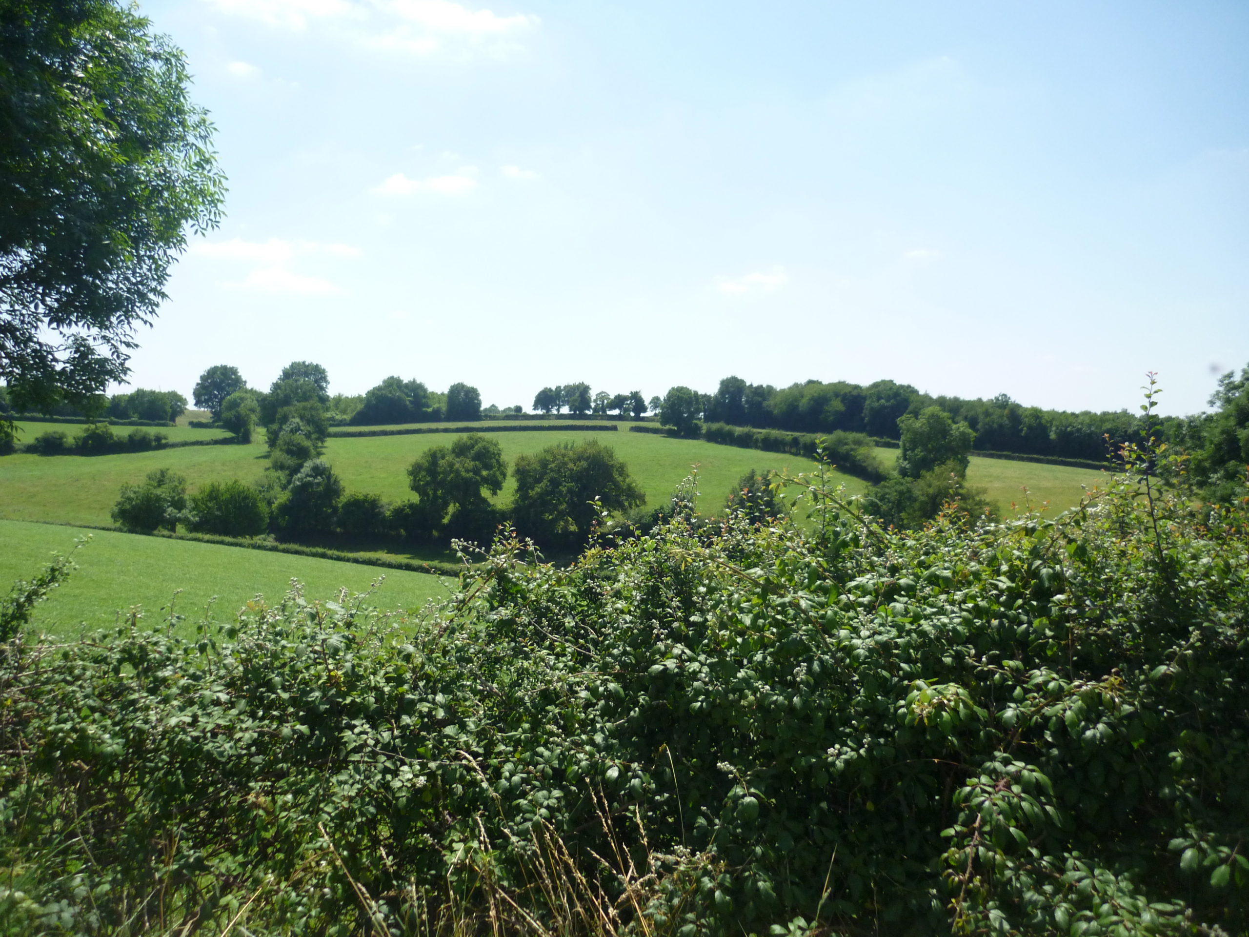 Conférence : Comment intégrer la production d&rsquo;énergie dans l&rsquo;agriculture en protégeant la qualité de l&rsquo;eau ?