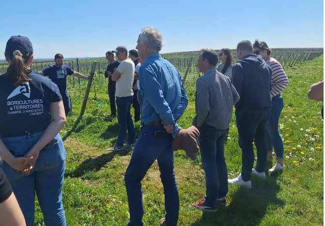 [SBVNé – EPTB Charente] Journée réseau fermes pilotes 0 herbicides en vignes