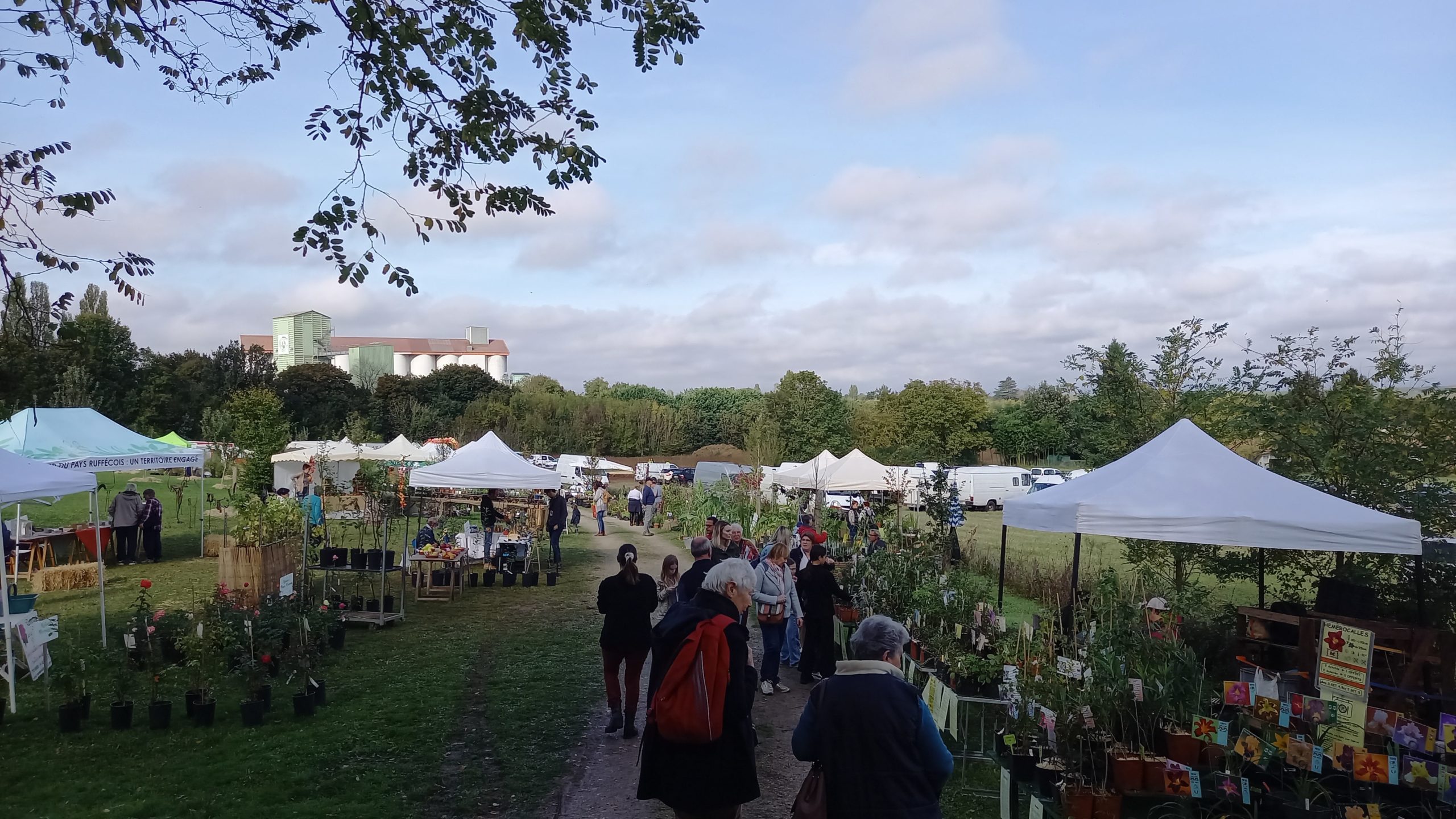 Florales d’automne 2025